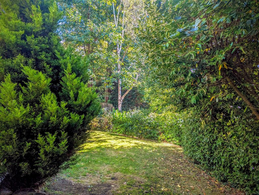 Commual Gardens