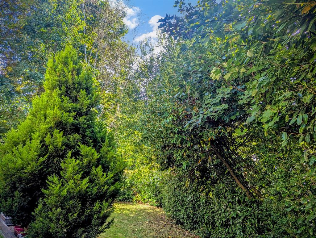 Communal Gardens