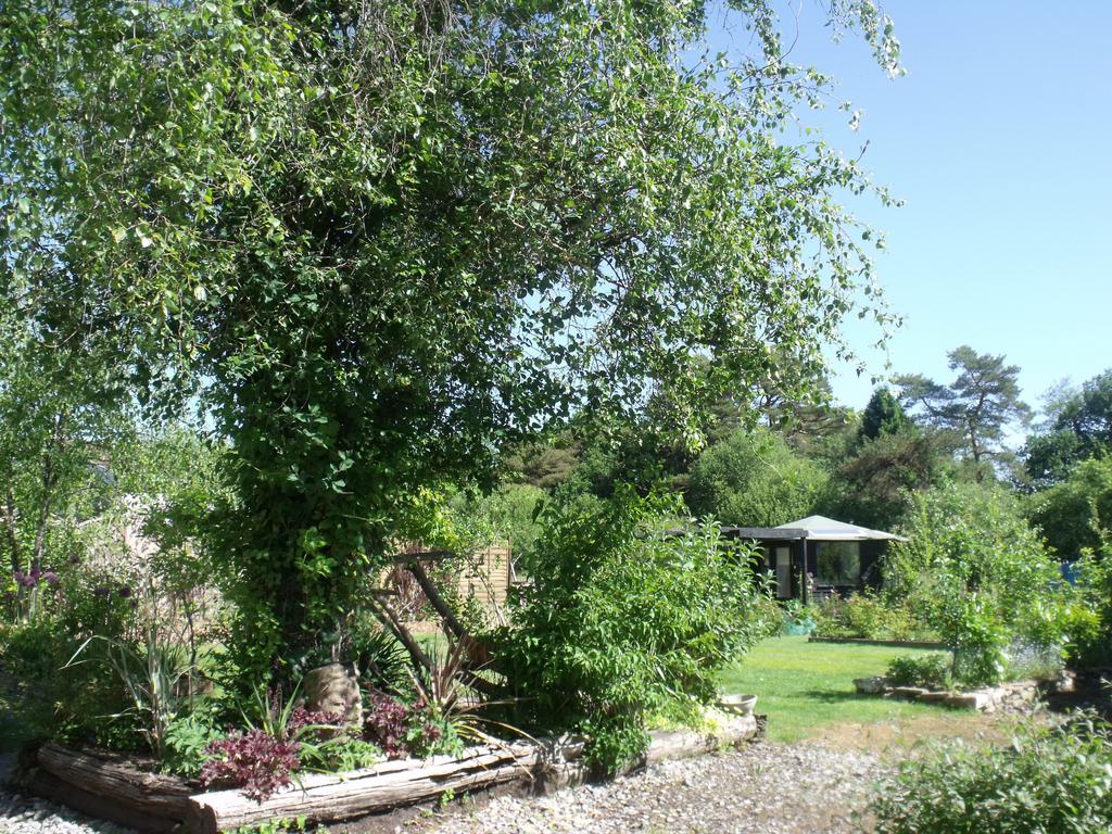 Grounds