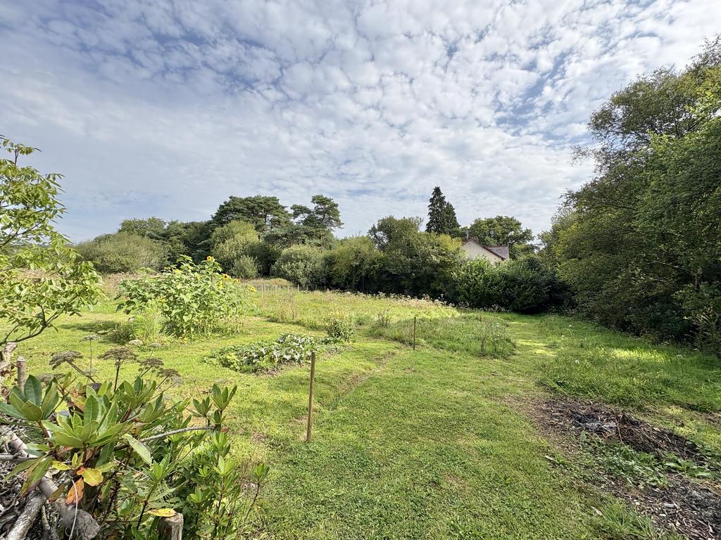 Grounds