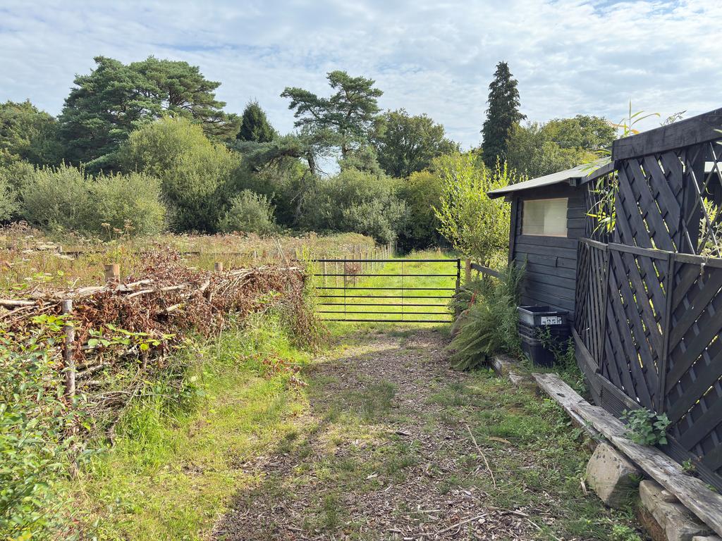 Grounds