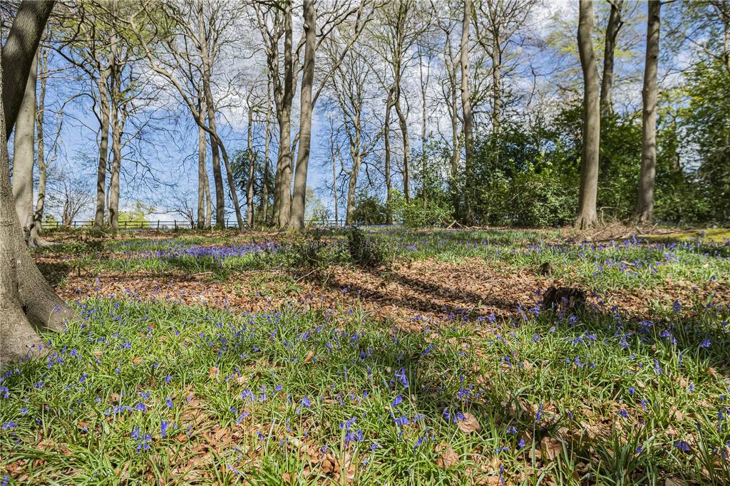 Woodland