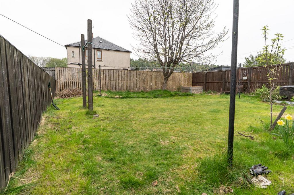 Back Garden