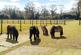Additional image 16 of Inkpen Common, Inkpen, Hungerford, Berkshire, RG17