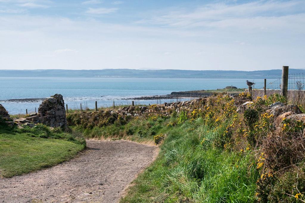 Footpath