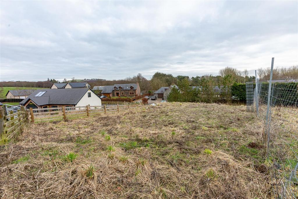 Gordon Plot 08.JPG