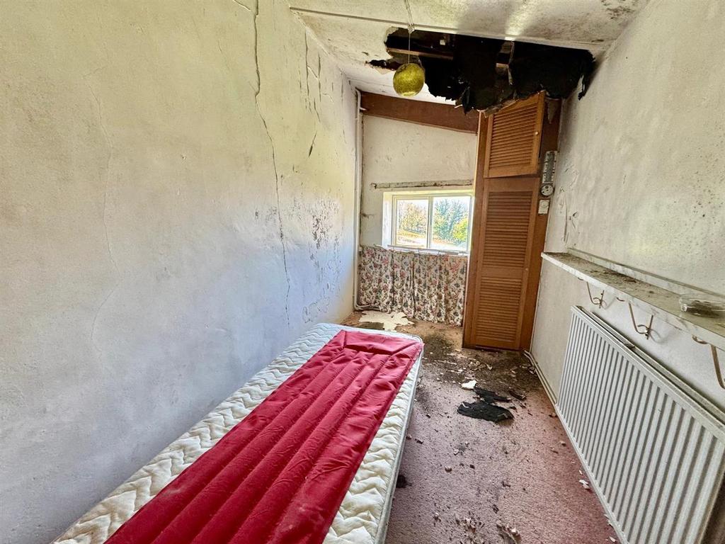 PHOTO-2025-04-08-07-21-31 (14).jpg