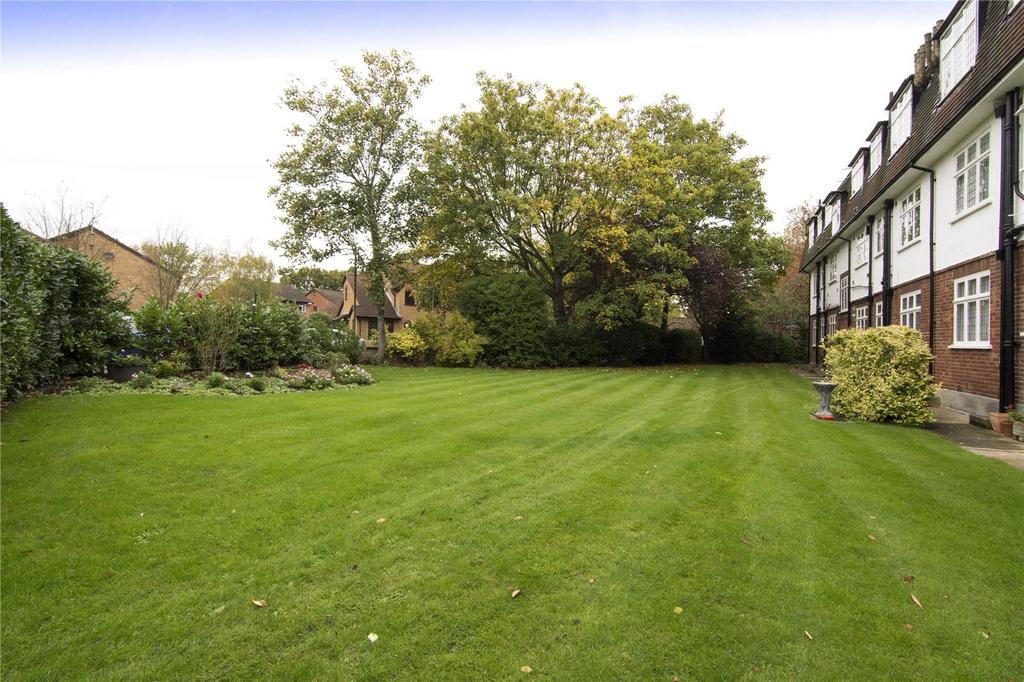 Shared Garden