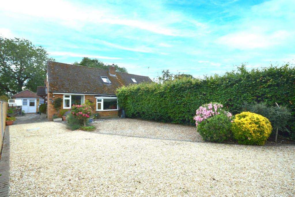 Front and driveway