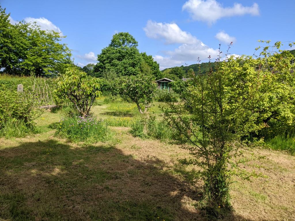 Mature gardens