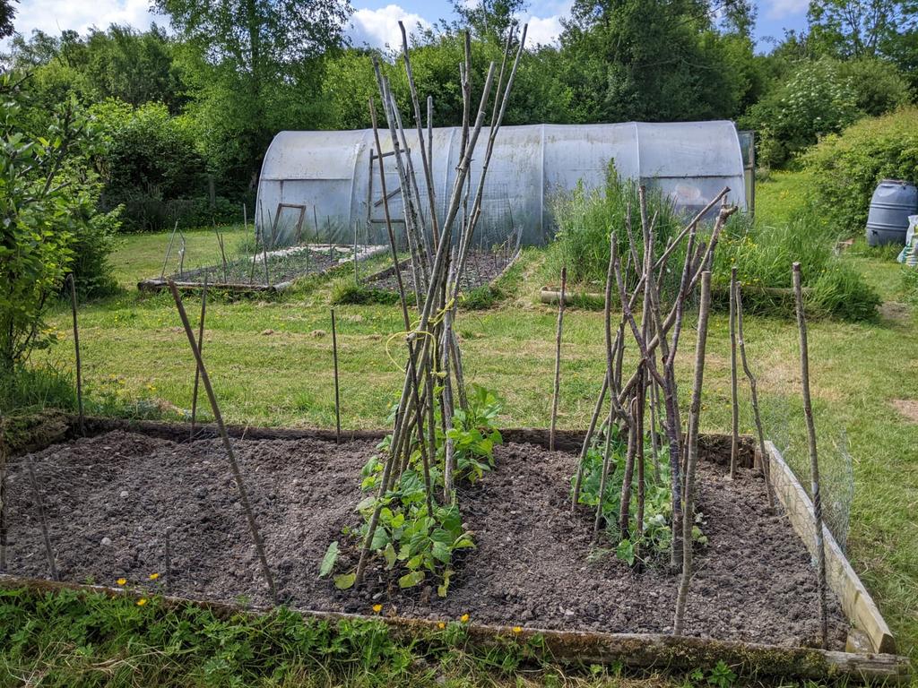 Mature gardens