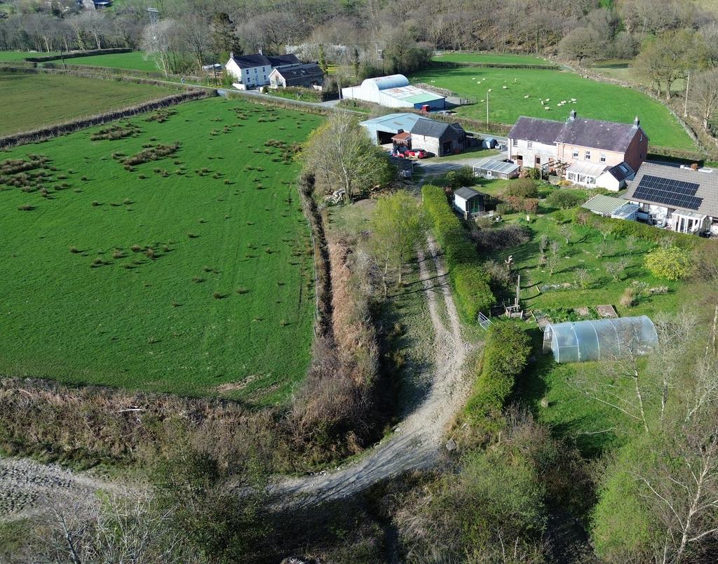 Garden (second image)