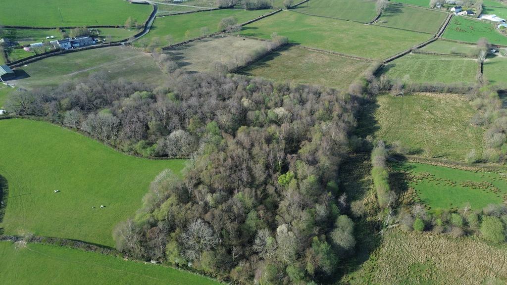 Native woodland