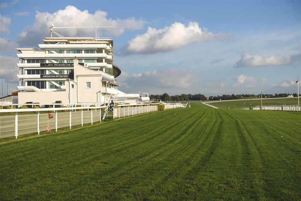 Epsom Downs Stock (5 of 23).jpg