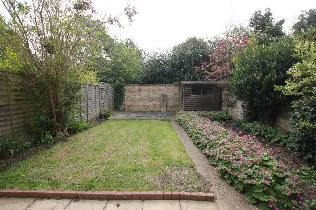 Garden.JPG