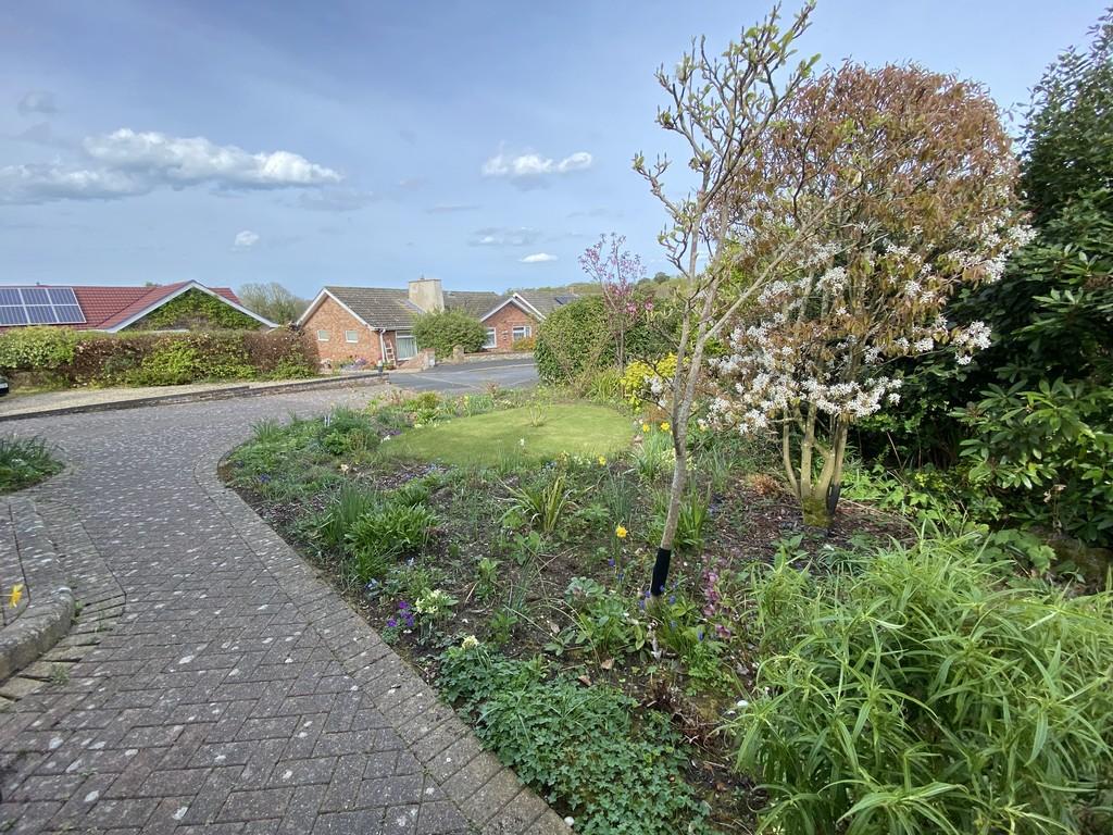 Front garden and drive