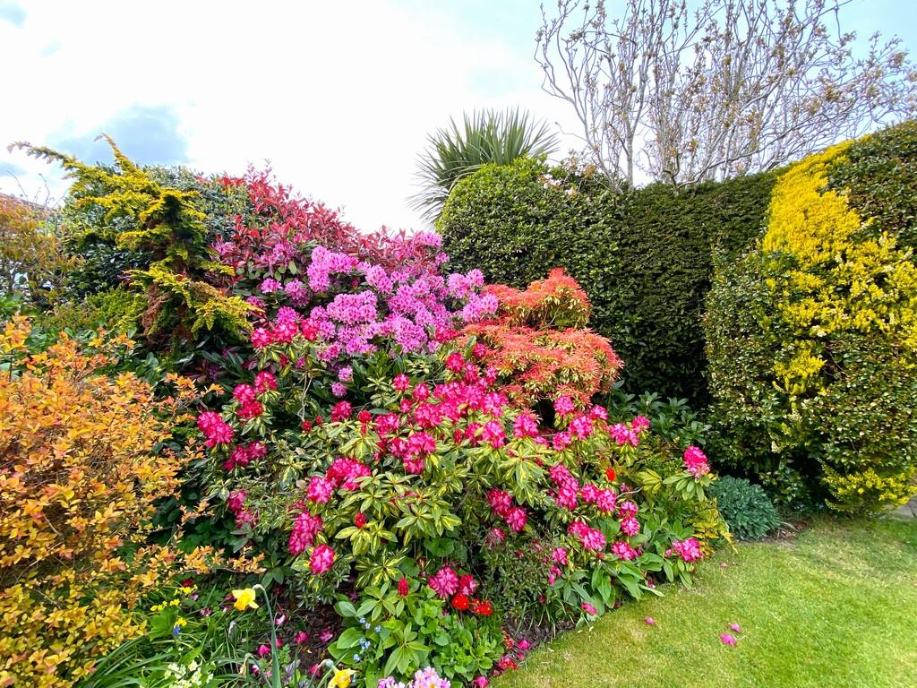 Attractive garden