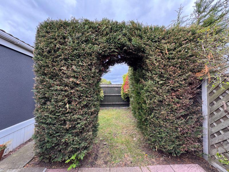 Garden view 3