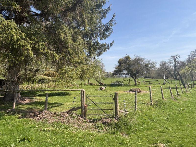 Photo 30