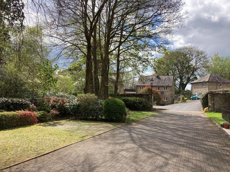 Driveway and...