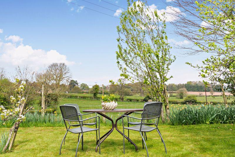 Garden and View