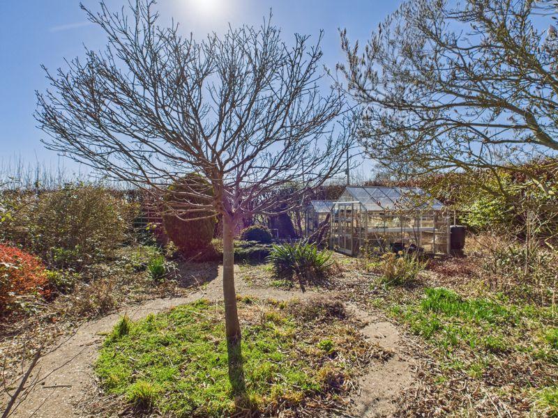 Rear gardens