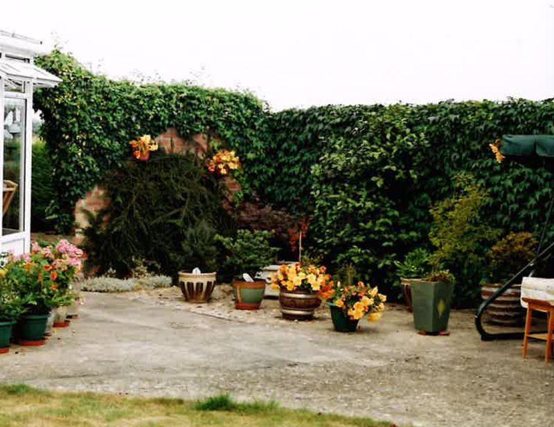 Vendor photo