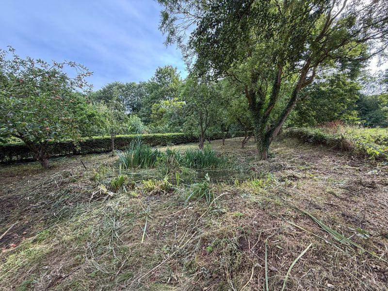 Site Photo