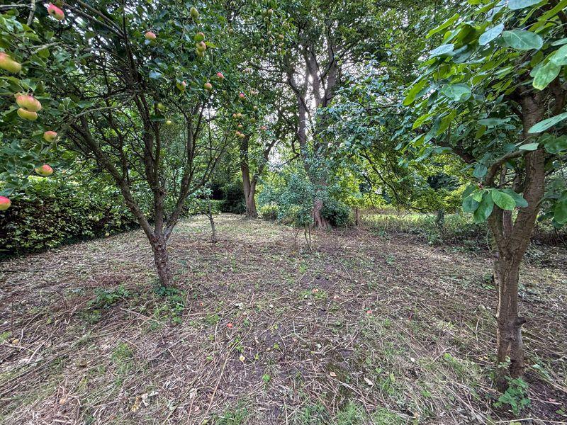 Site Photo