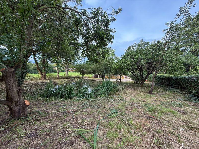 Site Photo