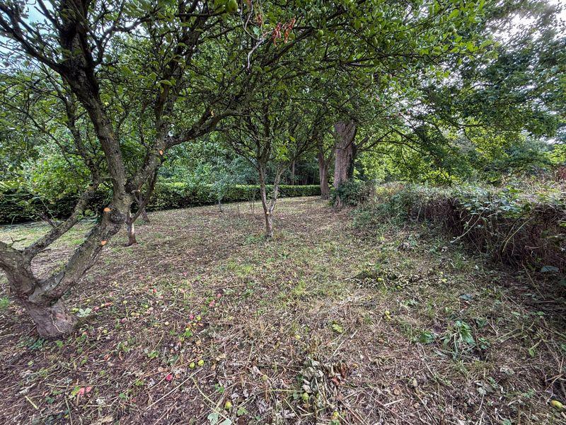 Site Photo