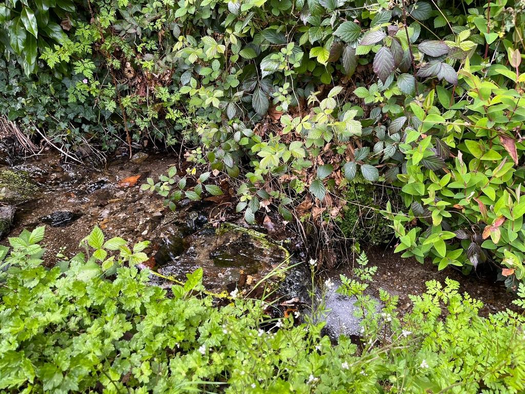 Stream