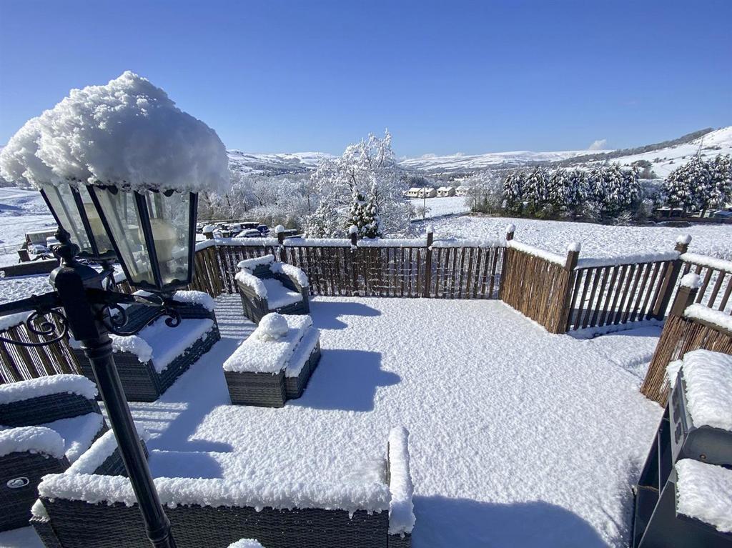 Winter Scene