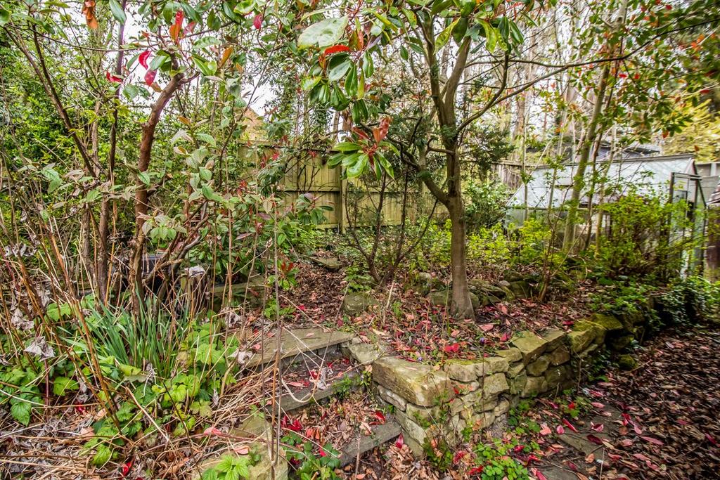 Rear Garden Pic 2.