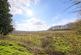 Additional image 12 of Chilsworthy, Holsworthy, Devon, EX22