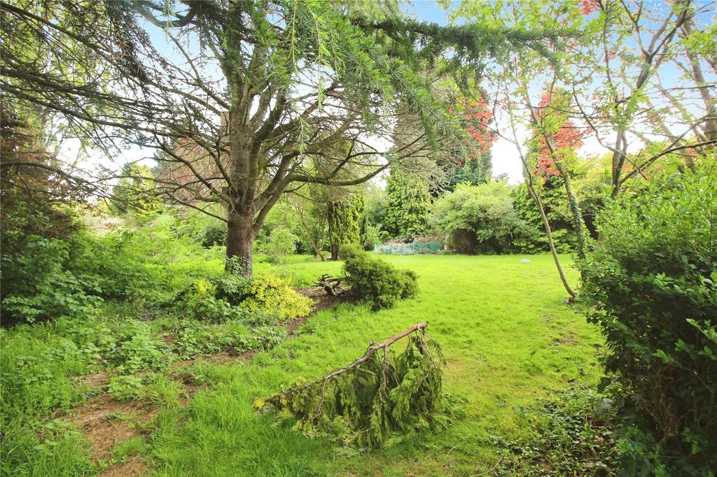 Rented Land