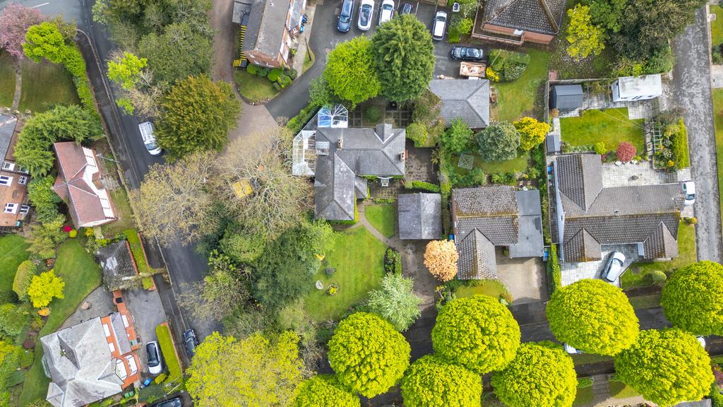 20250419-DJI 0476-Edit.jpg