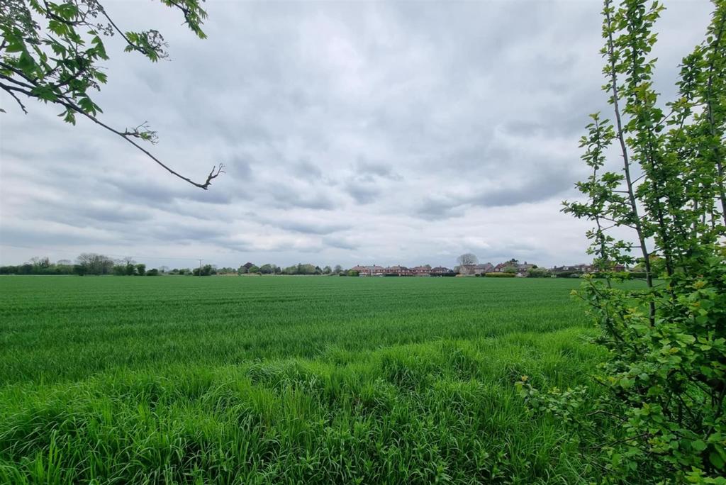 View.jpg
