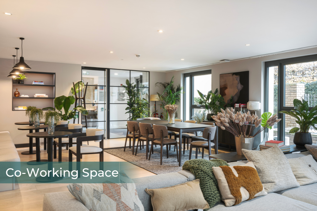 Df20c551337b46d02a2ed128e994