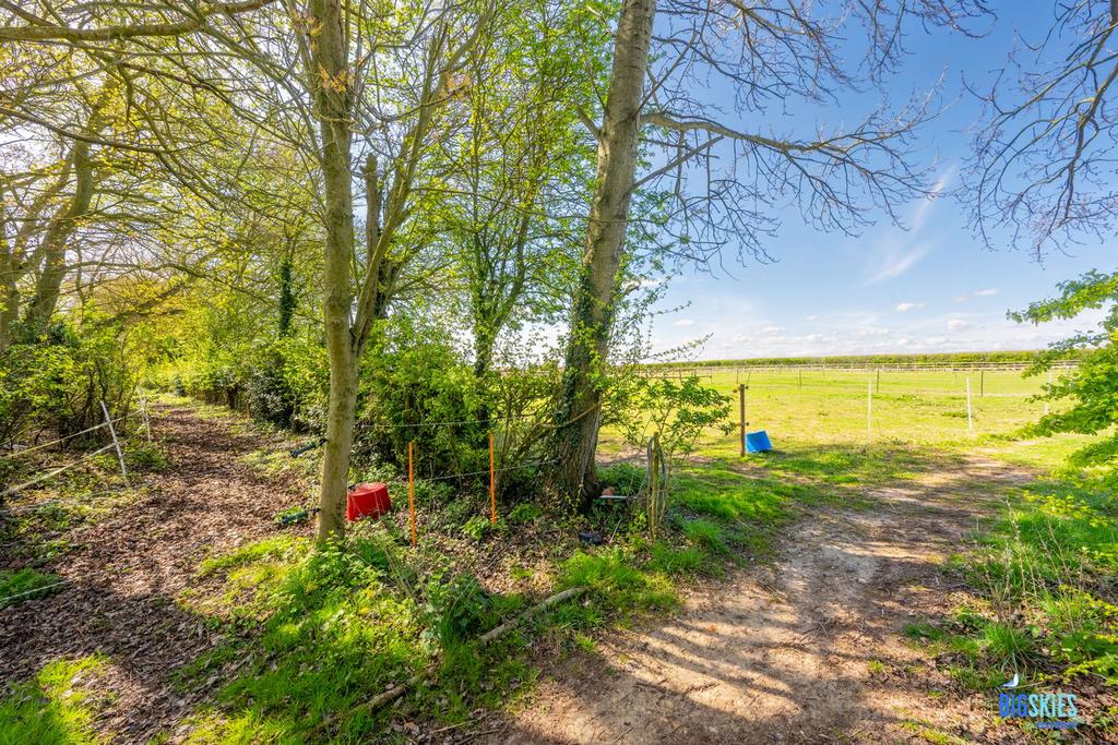 Path leading to Field