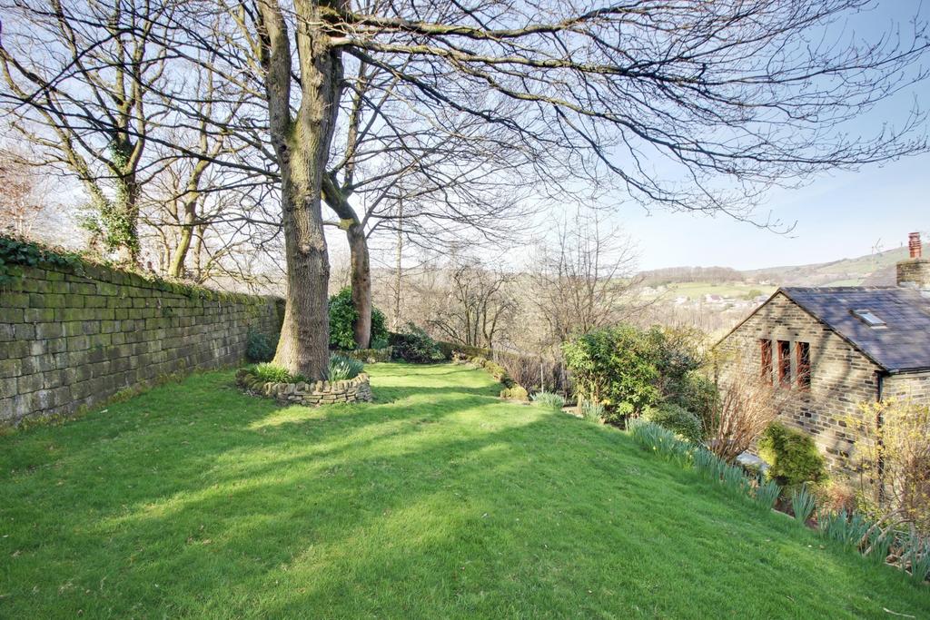 Back Garden