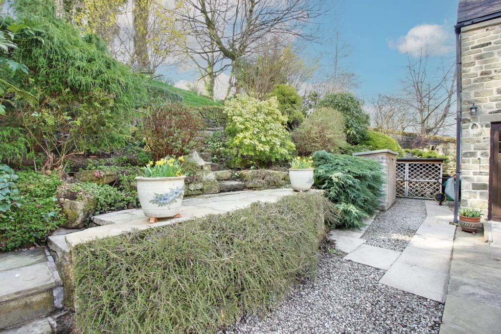 Back Garden