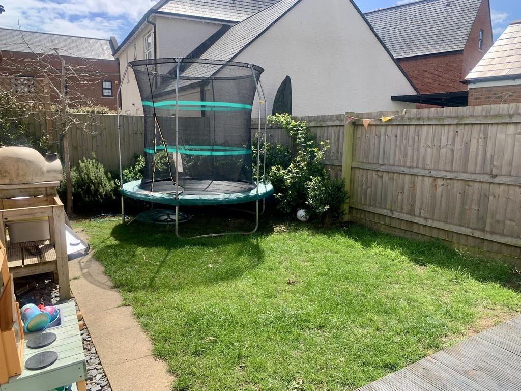 Sunny garden