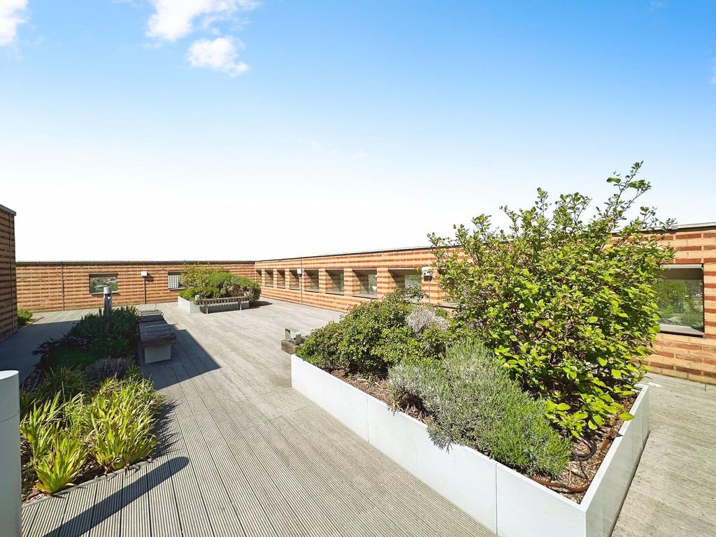 Roof Terrace