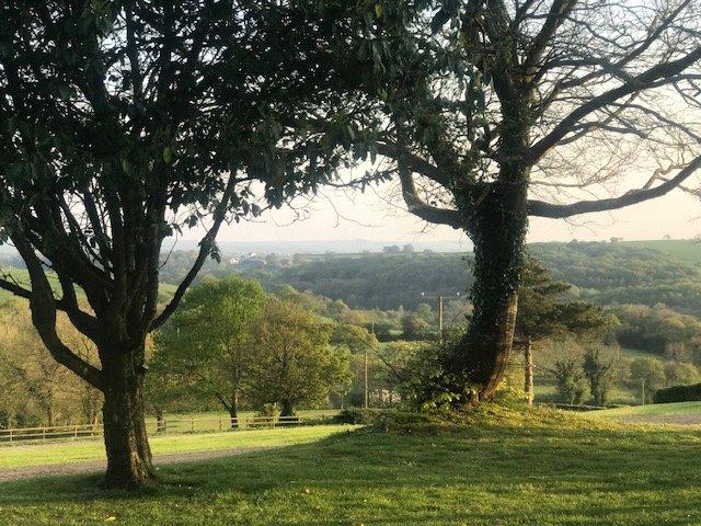 Gardens and Grounds