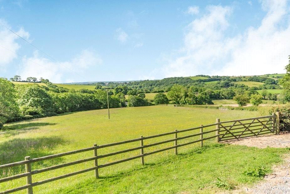 Pasture Field