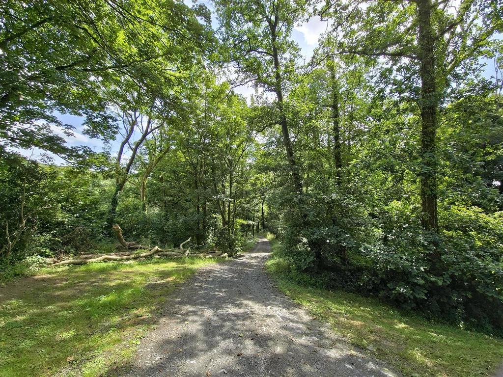 Woodland