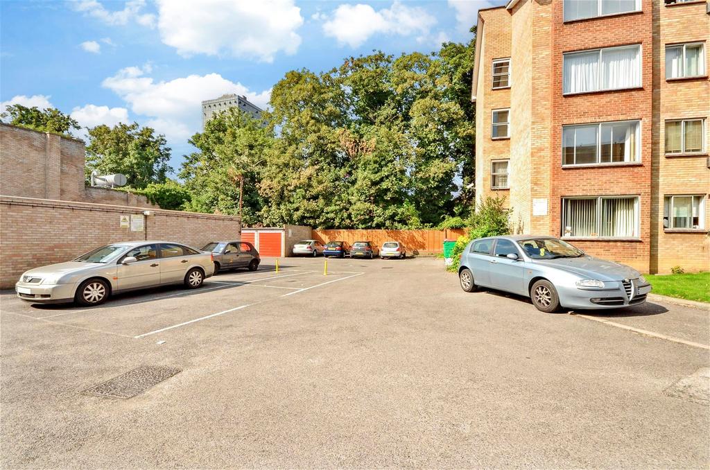 Driveway/Parking