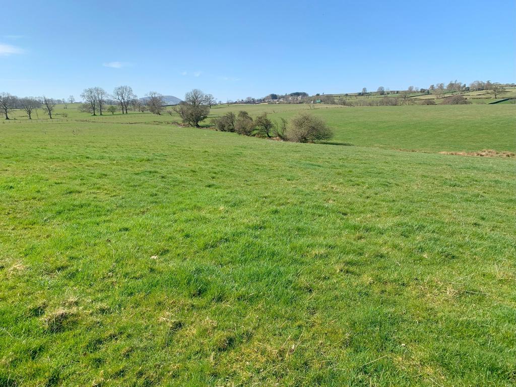 Lot 3