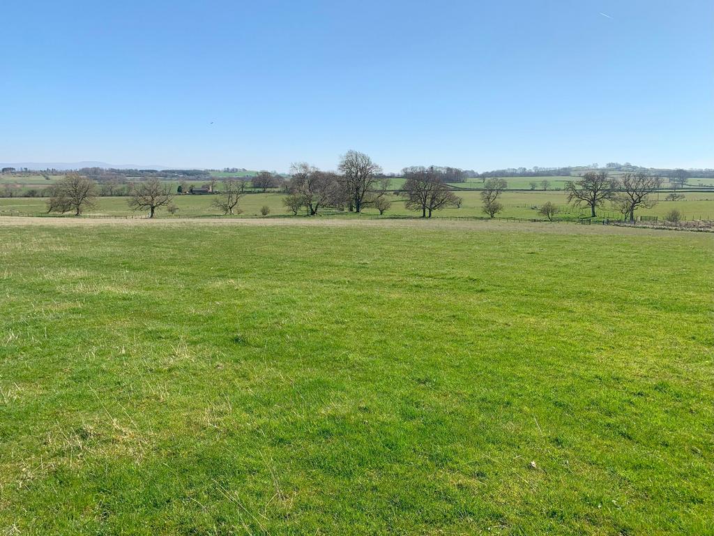 Lot 2